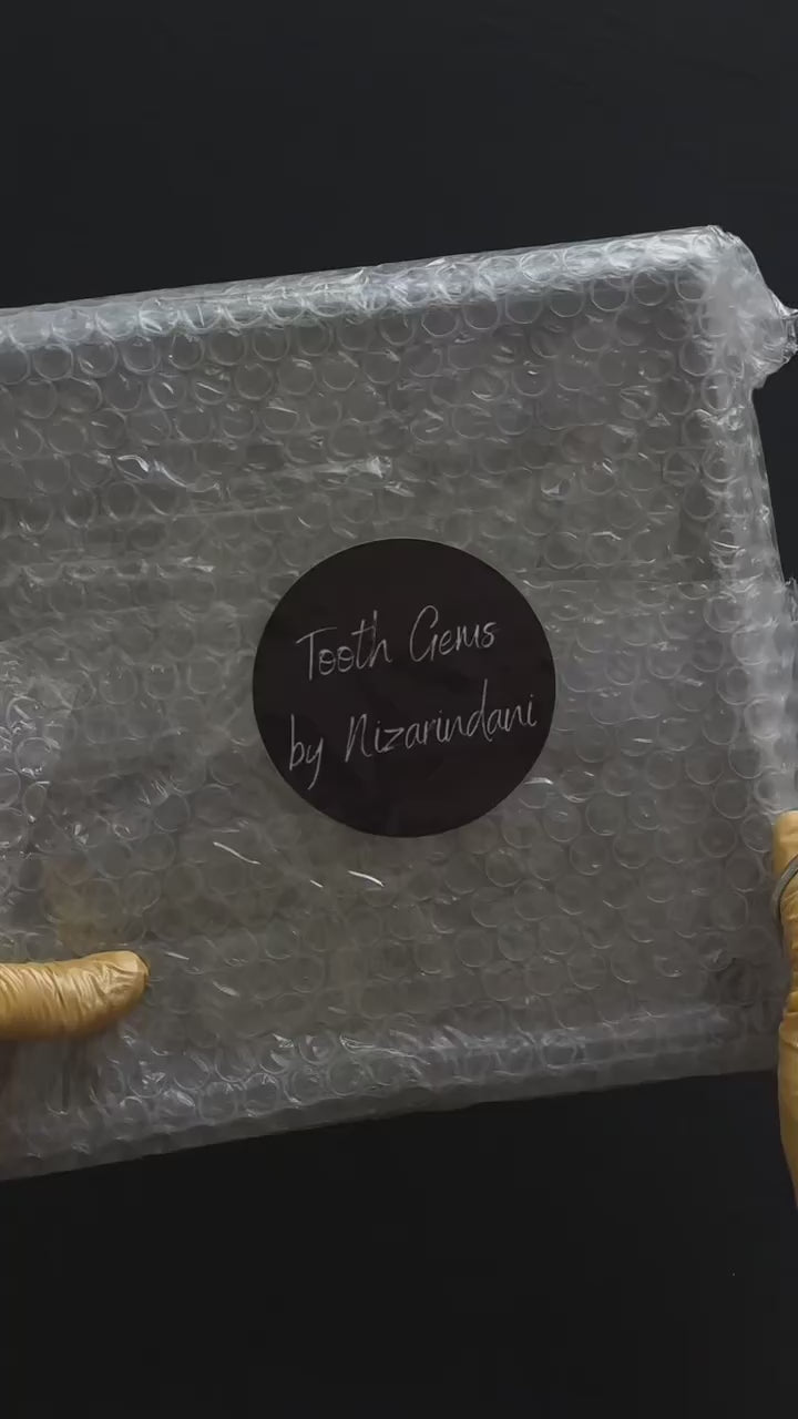 Organizador Delux de Gemas