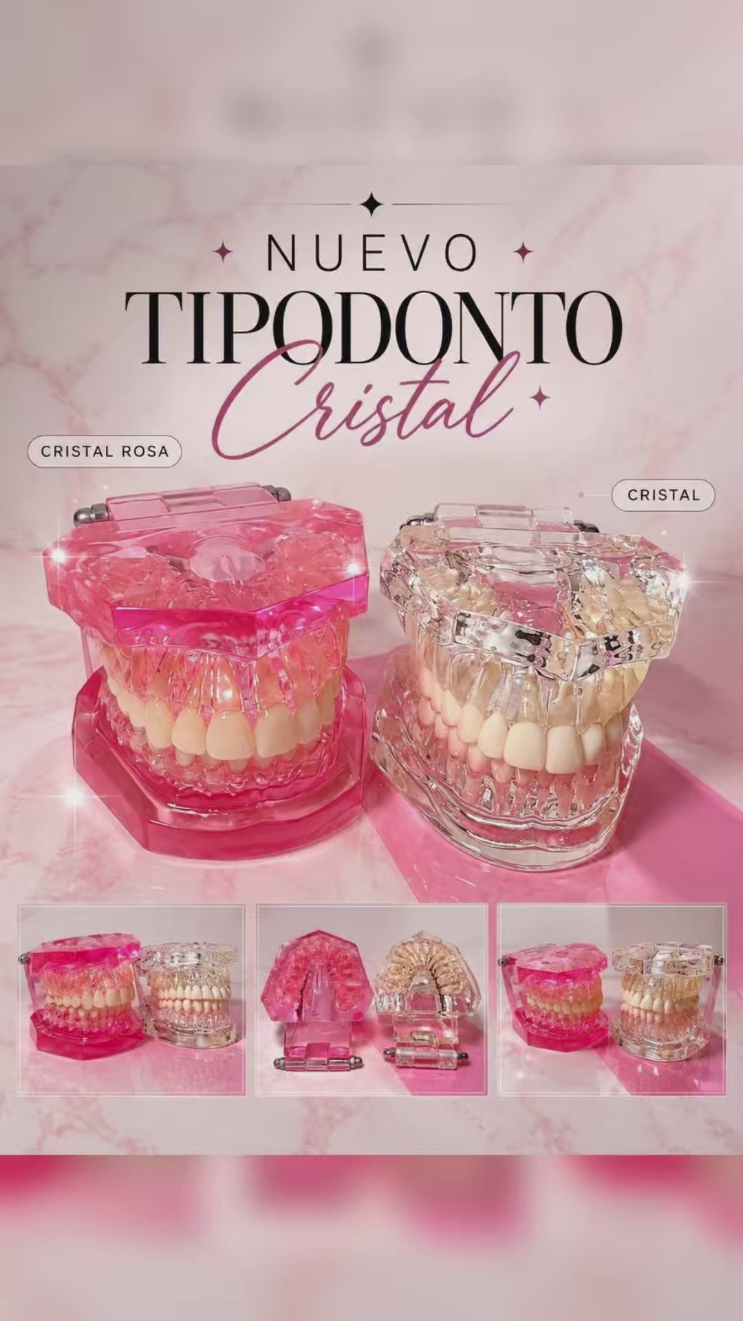 Tipodonto de acrílico transparente